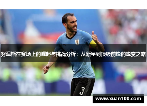 努涅斯在赛场上的崛起与挑战分析：从新星到顶级前锋的蜕变之路